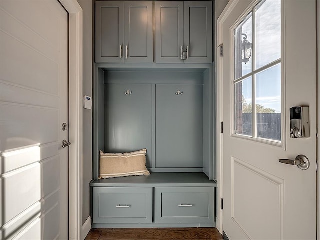 mudroom featuring plenty of natural light
