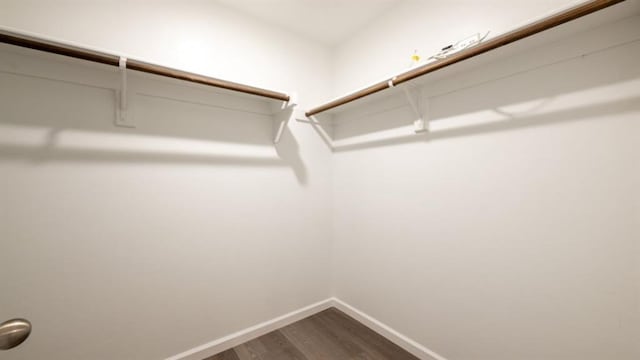 walk in closet with wood finished floors