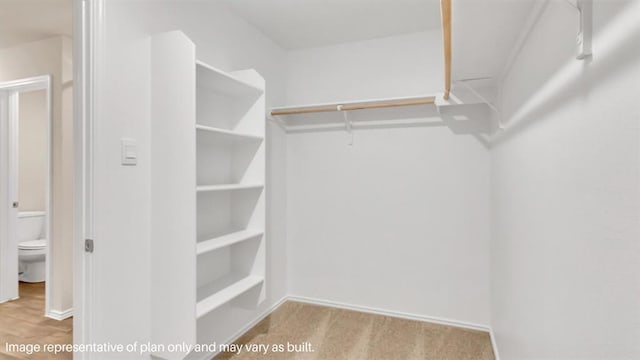 view of spacious closet