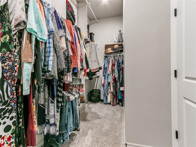 spacious closet with carpet