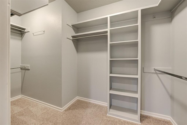 spacious closet featuring light colored carpet