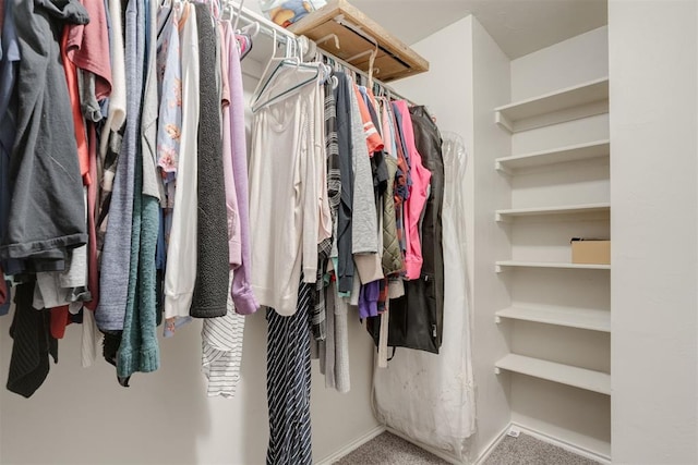 spacious closet featuring carpet