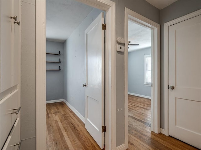 corridor featuring light hardwood / wood-style floors