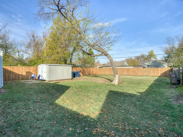 view of yard featuring a storage shed