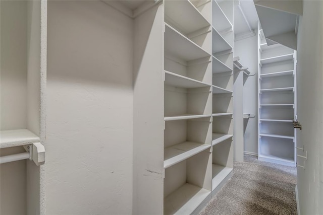 spacious closet featuring carpet floors