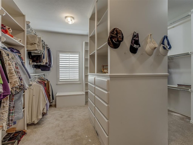 spacious closet featuring light colored carpet