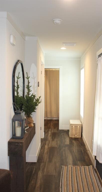 corridor with crown molding and dark wood-type flooring