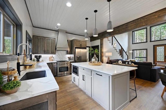 kitchen with a healthy amount of sunlight, custom range hood, sink, and appliances with stainless steel finishes