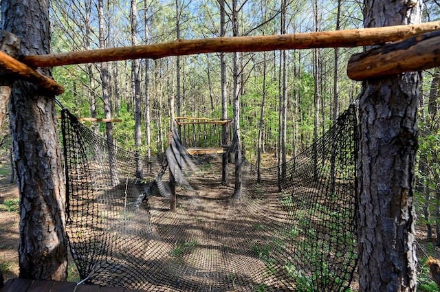 view of jungle gym