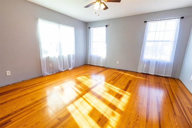 spare room with ceiling fan, light hardwood / wood-style floors, and a wealth of natural light