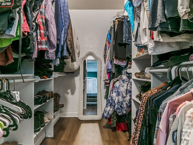 walk in closet with wood-type flooring