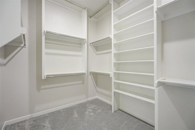 spacious closet with carpet