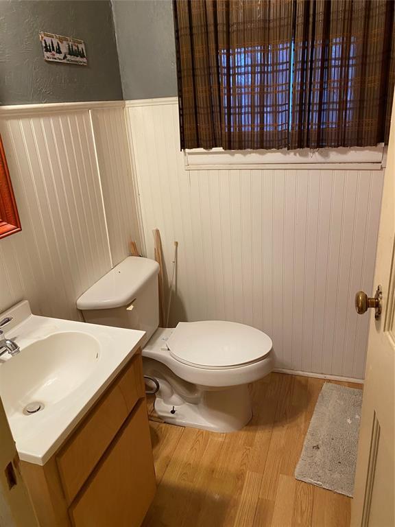 bathroom featuring vanity, hardwood / wood-style flooring, and toilet