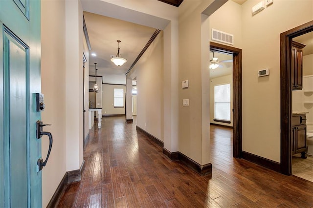 hall featuring dark hardwood / wood-style flooring and a wealth of natural light