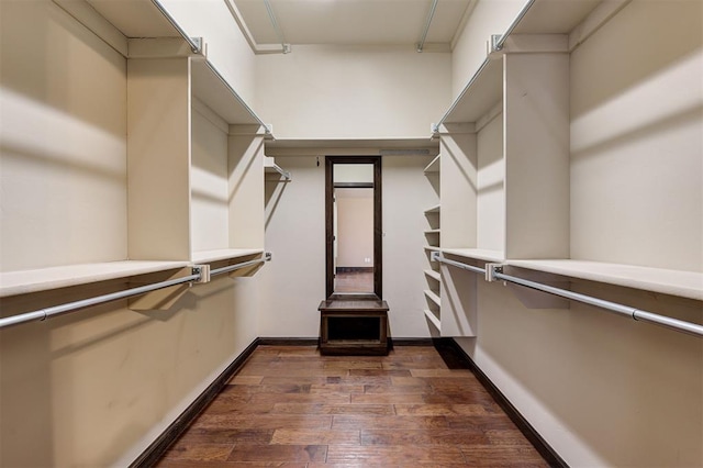 spacious closet featuring dark hardwood / wood-style floors