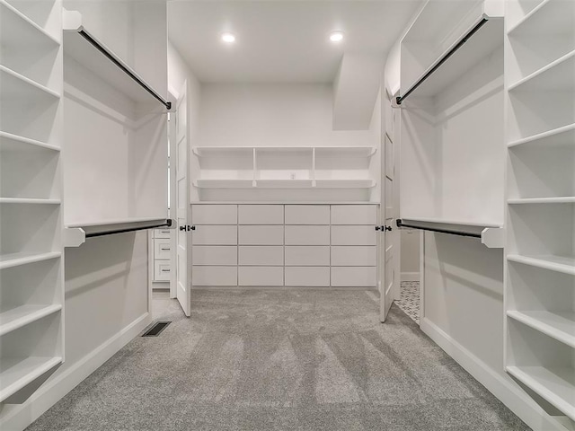 spacious closet with light colored carpet