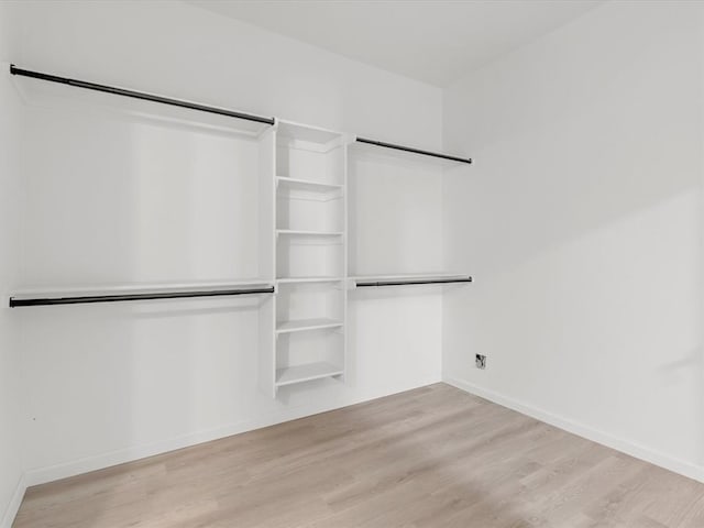 spacious closet with light wood-type flooring