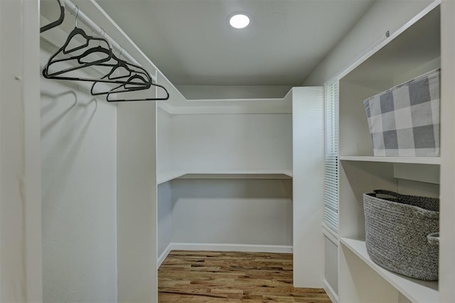 spacious closet featuring wood-type flooring