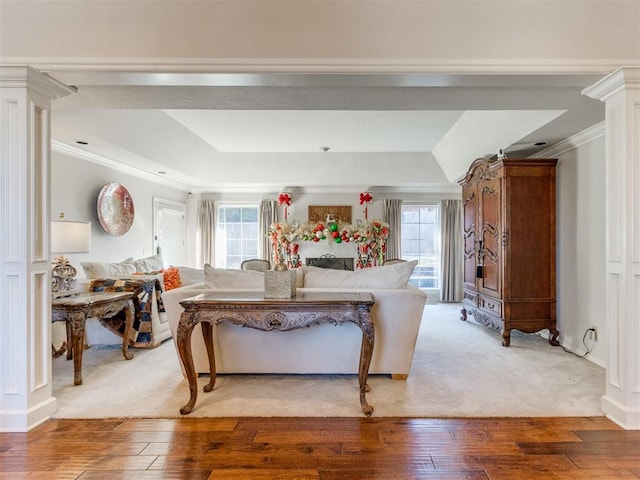 living room with a raised ceiling, plenty of natural light, ornamental molding, and hardwood / wood-style flooring