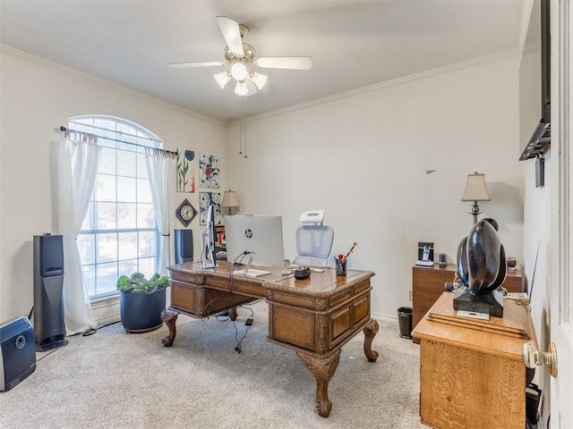 carpeted office space with ceiling fan and ornamental molding