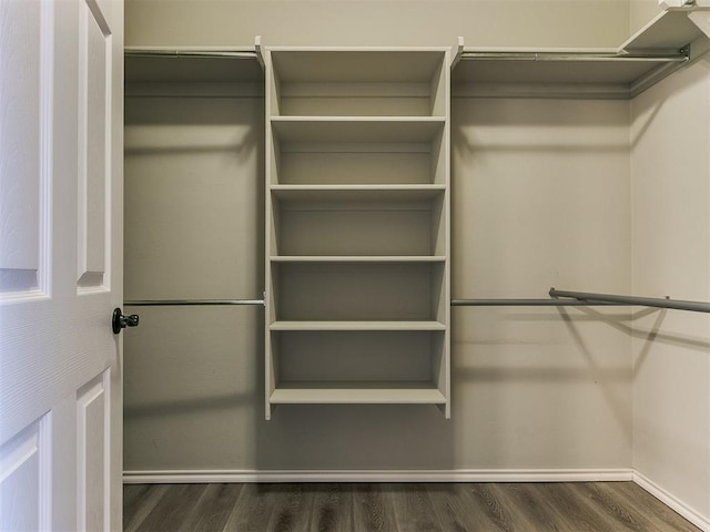 walk in closet featuring dark hardwood / wood-style floors