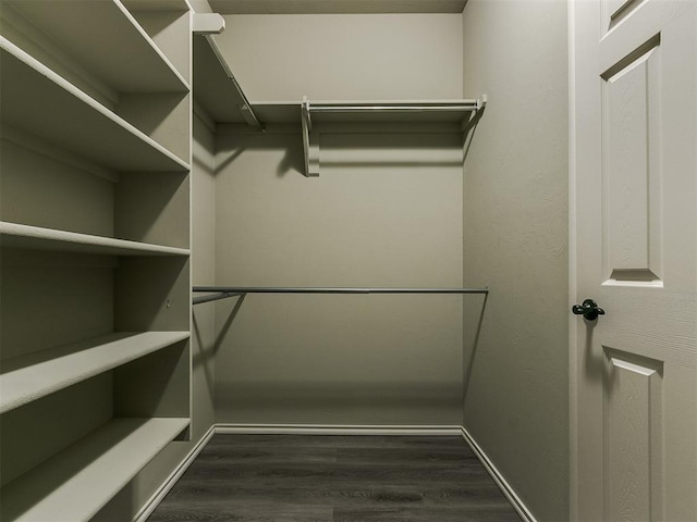 walk in closet featuring dark wood-type flooring