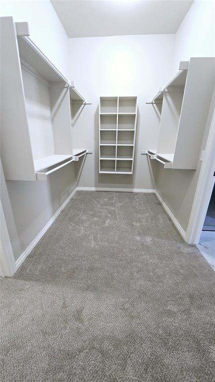 walk in closet featuring dark colored carpet