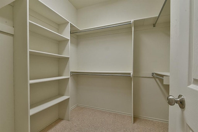 spacious closet with light carpet