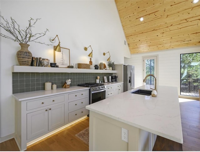 kitchen featuring hardwood / wood-style floors, light stone counters, sink, and appliances with stainless steel finishes