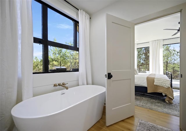 bathroom with hardwood / wood-style flooring, a bathtub, a healthy amount of sunlight, and ceiling fan