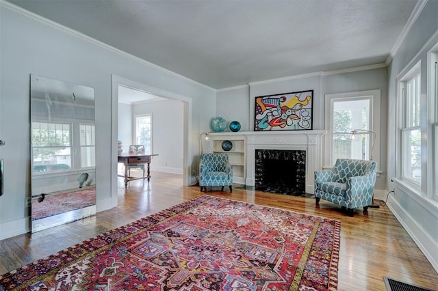 living room featuring a fireplace, hardwood / wood-style floors, and a healthy amount of sunlight