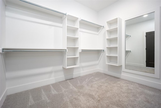 walk in closet with carpet floors