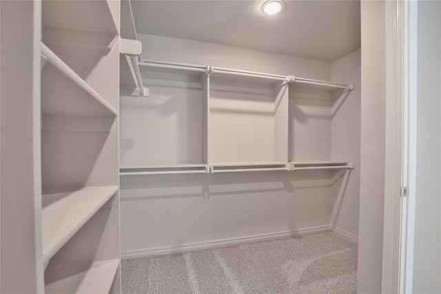 spacious closet featuring carpet flooring