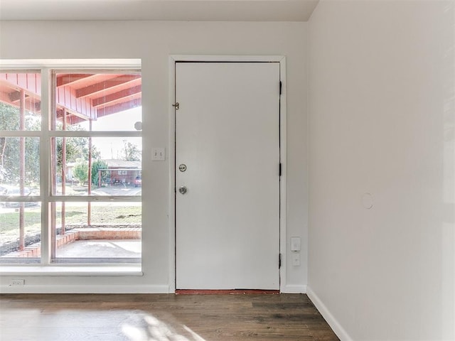 doorway to outside with dark hardwood / wood-style flooring