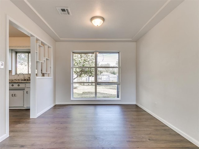 empty room with sink and wood-type flooring