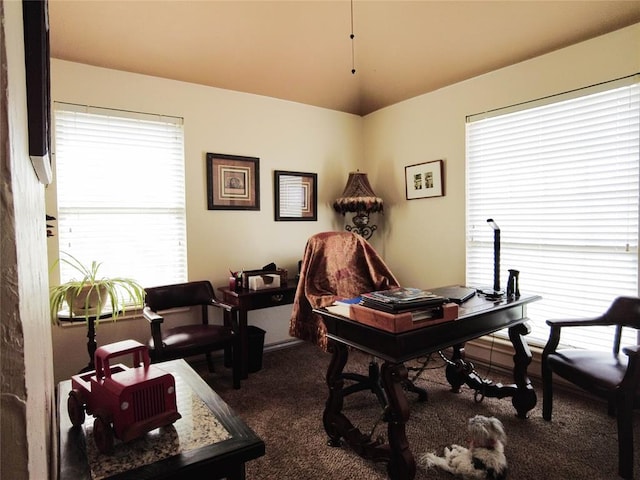 carpeted office space with plenty of natural light