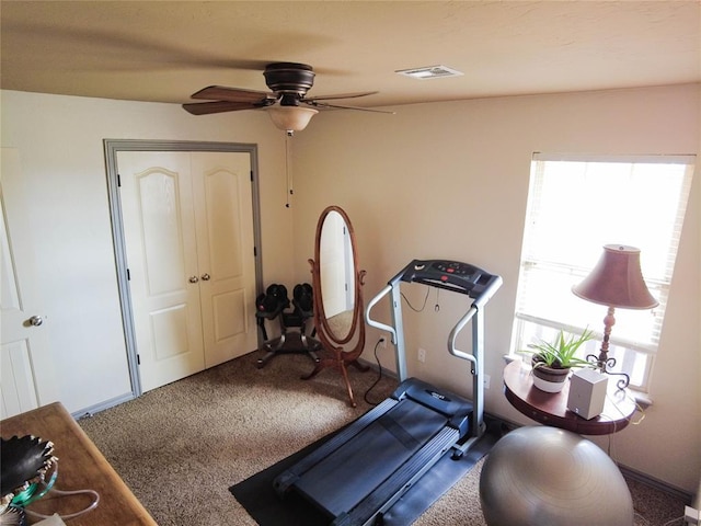 workout room featuring ceiling fan, carpet floors, and a wealth of natural light