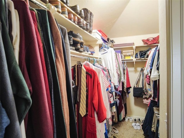 spacious closet featuring carpet