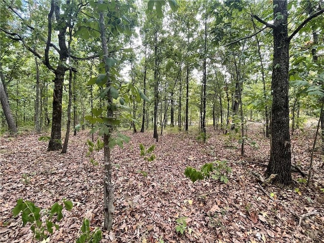 686 Woodland Hills Trl, Broken Bow OK, 74728 land for sale