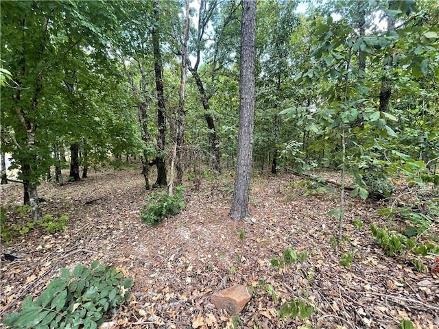 Listing photo 2 for 686 Woodland Hills Trl, Broken Bow OK 74728