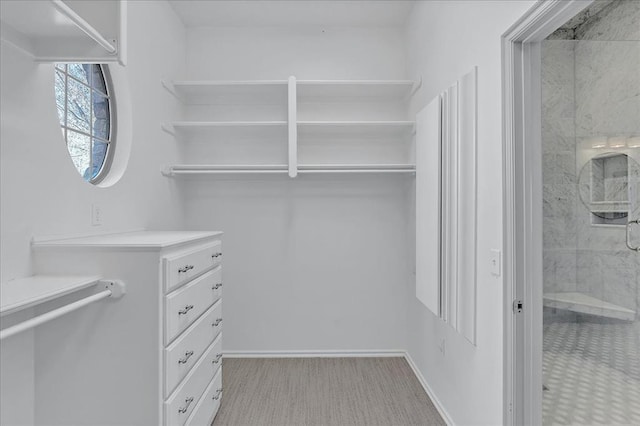 spacious closet with light wood-type flooring