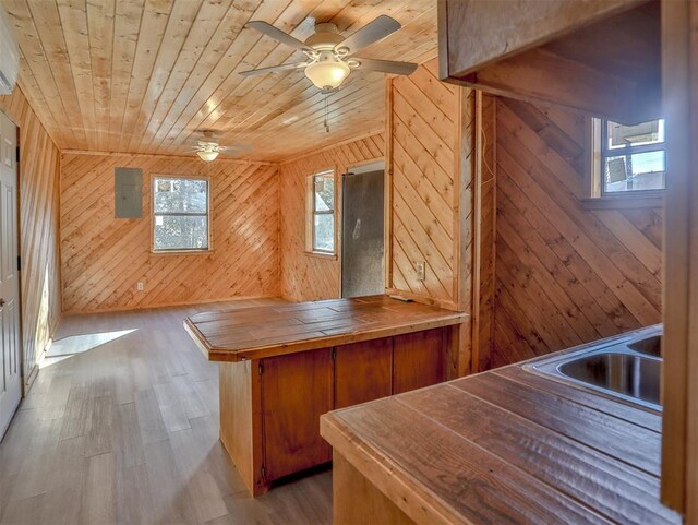 interior space featuring wood-type flooring, wooden walls, a healthy amount of sunlight, and wood ceiling