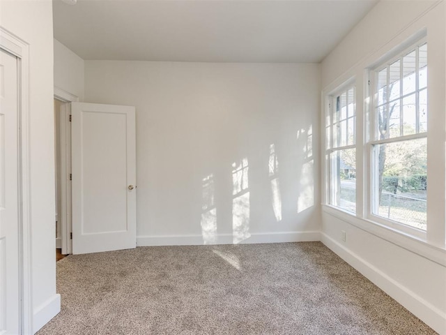 carpeted empty room featuring a healthy amount of sunlight