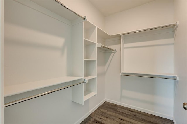 spacious closet with dark hardwood / wood-style flooring