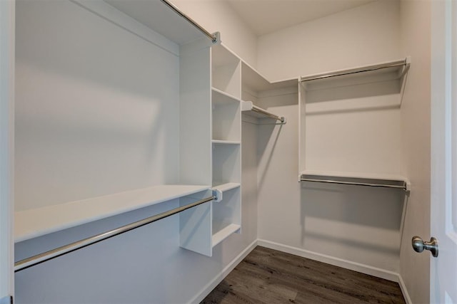 spacious closet with dark wood-type flooring