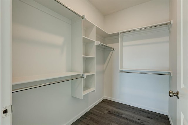 spacious closet featuring dark hardwood / wood-style flooring