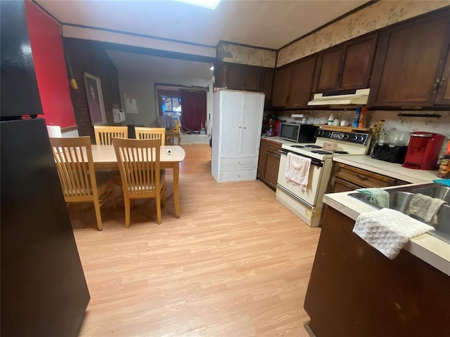 kitchen featuring dark brown cabinetry, electric stove, tasteful backsplash, and light hardwood / wood-style flooring