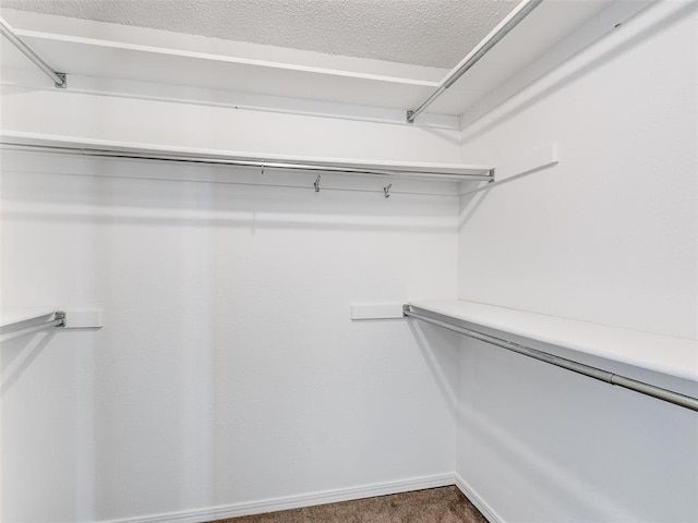 walk in closet with dark carpet