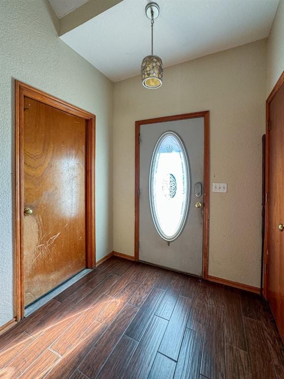 entrance foyer with dark wood-type flooring