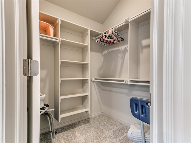 walk in closet featuring carpet floors and vaulted ceiling